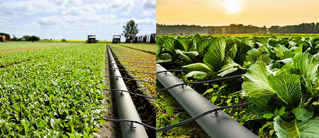 Полное руководство по ирригационным шлангам (и почему шланг Lay Flat из ТПУ формирует современное сельское хозяйство)