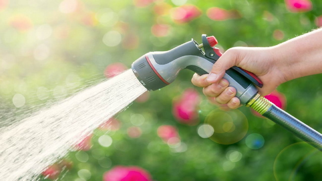 How to Choose a Durable, Kink-Resistant Hose for Your Home and Garden Как выбрать прочный, устойчивый к перегибам шланг для дома и сада