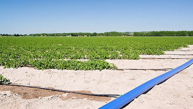 The Complete Guide to Irrigation Hoses Полное руководство по ирригационным шлангам